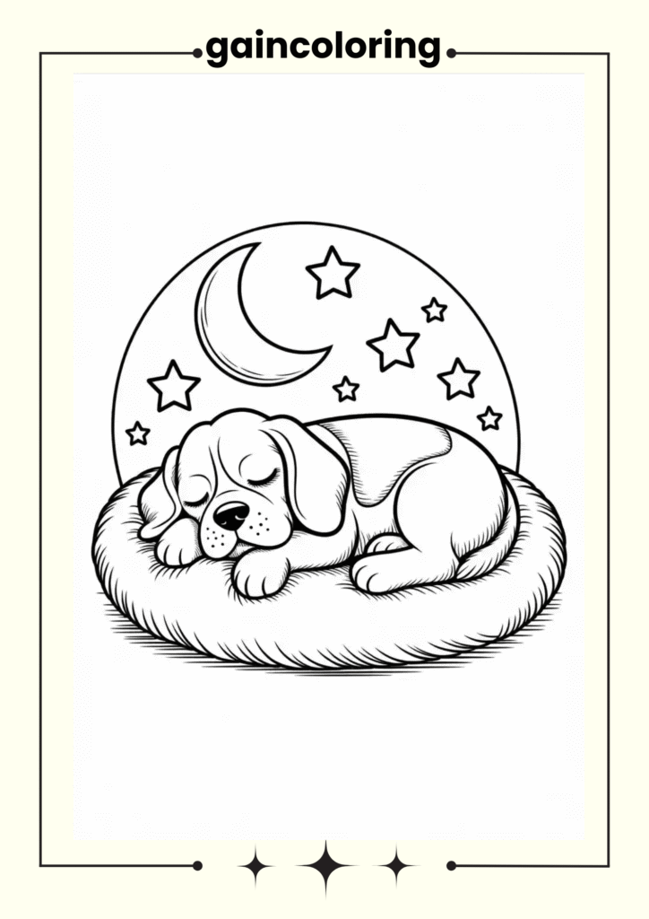A sleeping Beagle curled